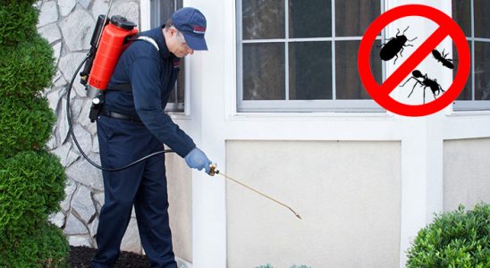 Ulamış Dezenfeksiyon böcek ilaçlama ve haşere kontrolü — ilaclama-tr.com